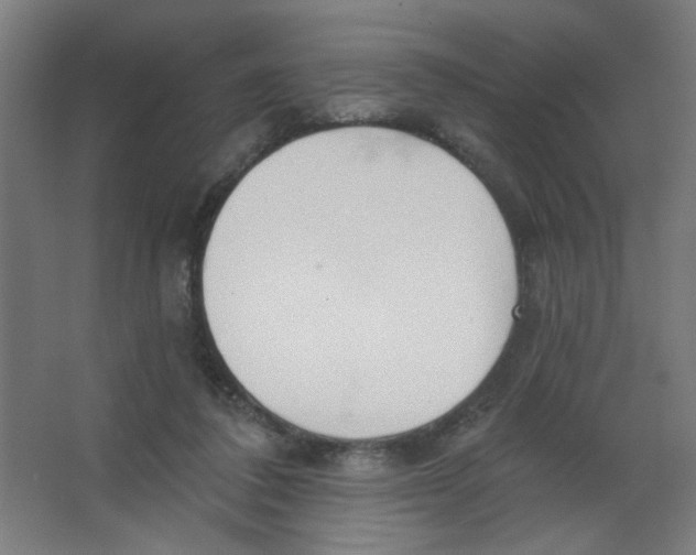 X0000067330308200604211916