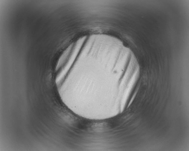 X0000067330314200604211916