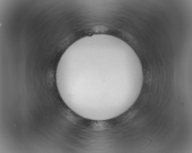 X0000067330321200604211916