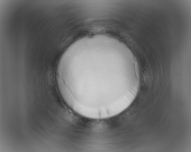 X0000067330322200604211916