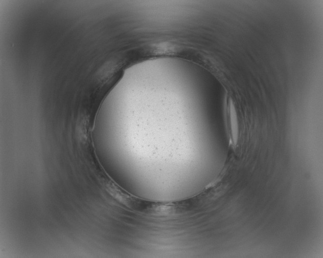 X0000067330325200604211916