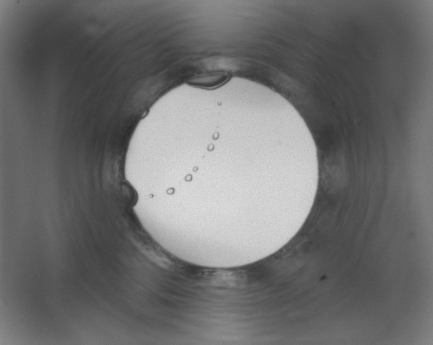 X0000067330330200604211916