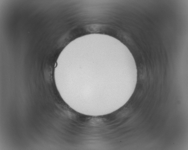 X0000067330332200604211916