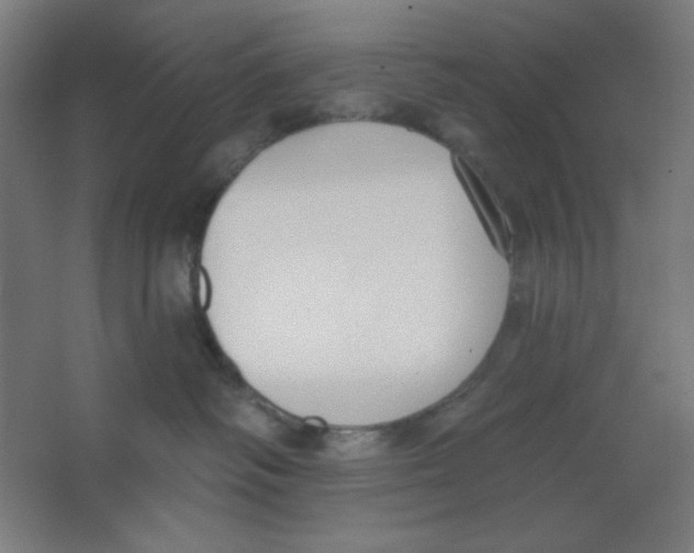 X0000067330334200604211916