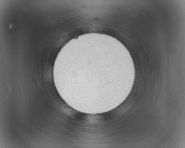 X0000067330336200604211916