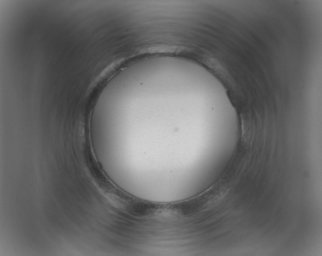 X0000067330348200604211915