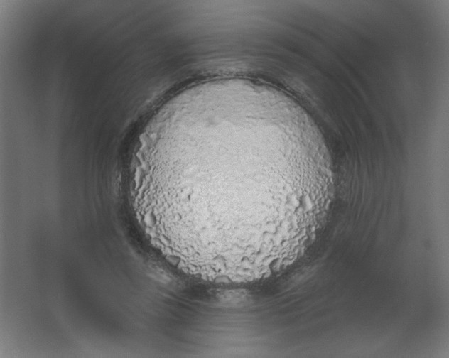 X0000067330355200604211915