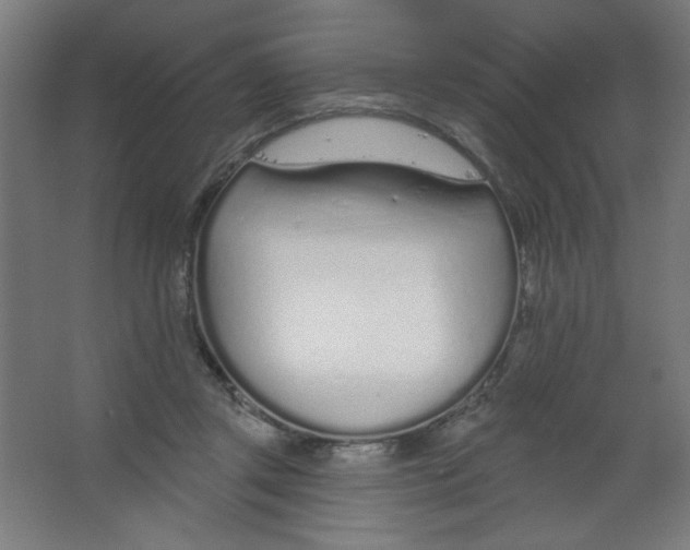 X0000067330357200604211915