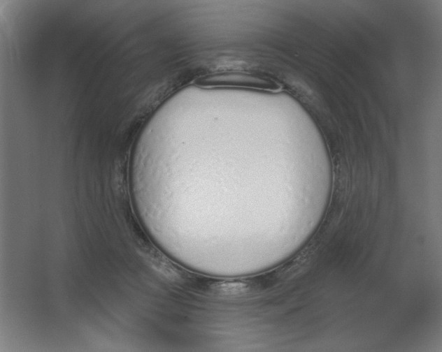 X0000067330361200604211915