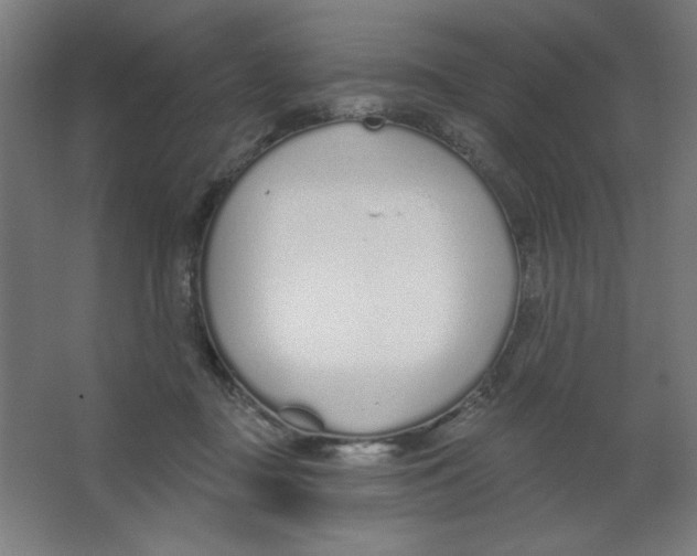 X0000067330363200604211915