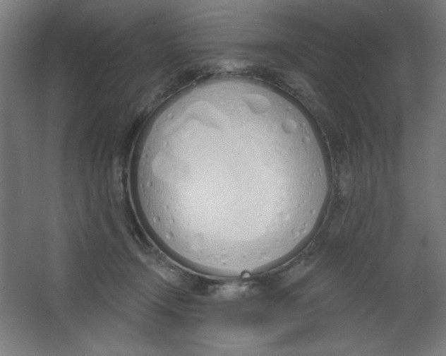 X0000067330366200604211916