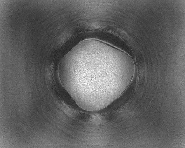 X0000067330376200604211916