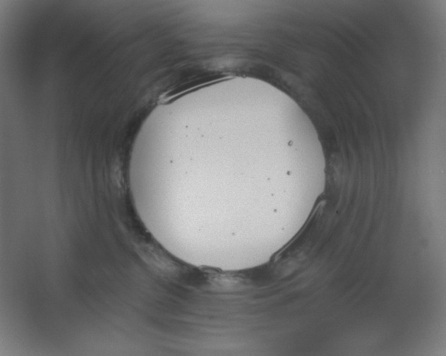 X0000067330380200604211916