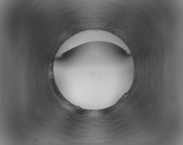 X0000067330383200604211916