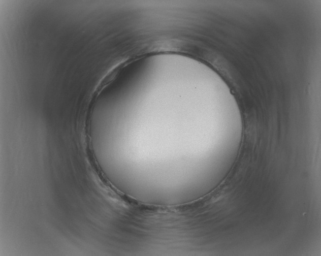 X0000067330386200604211915
