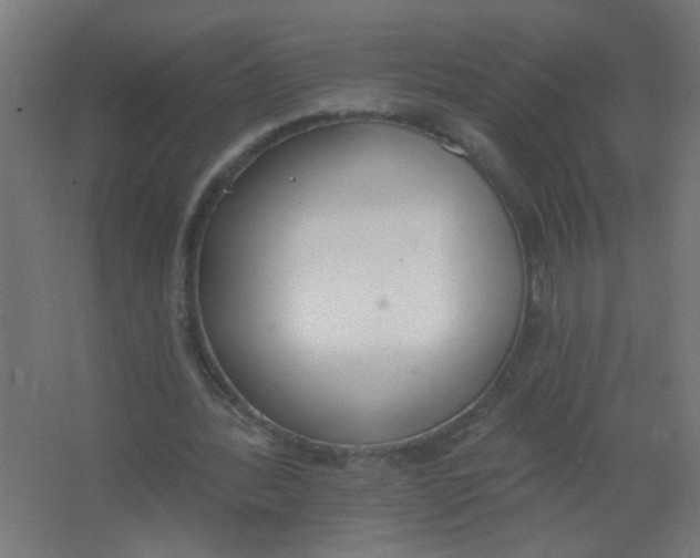 X0000067330388200604211915