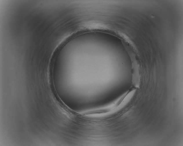 X0000067330391200604211915
