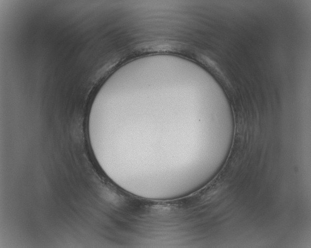X0000067330394200604211915