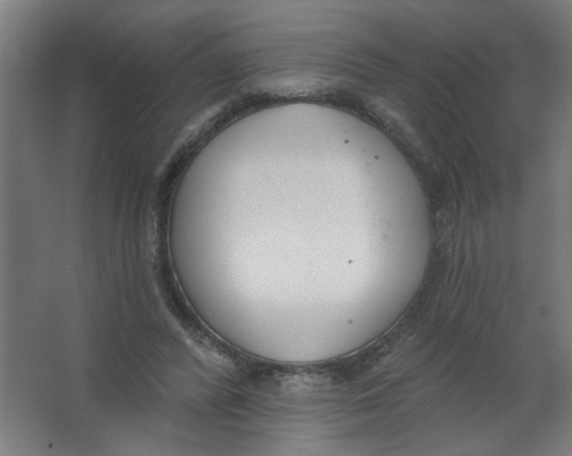 X0000067330400200604211915