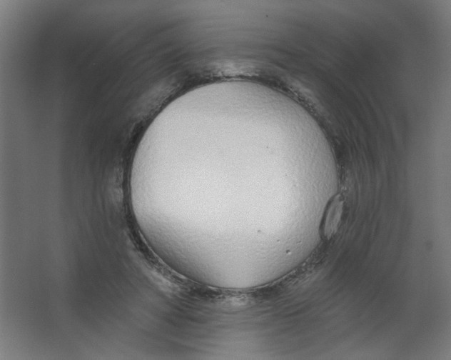 X0000067330402200604211915