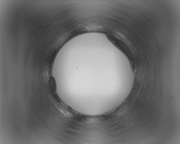 X0000067330405200604211915
