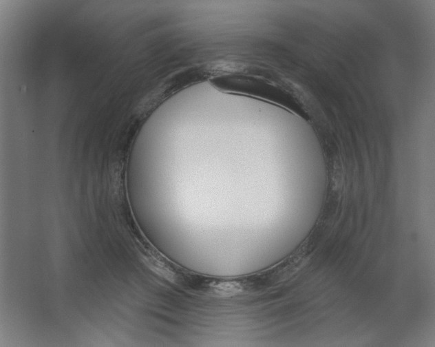 X0000067330409200604211915