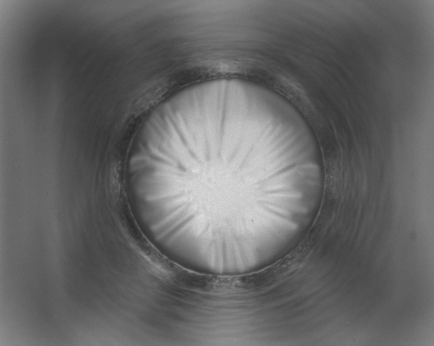X0000067330410200604211915