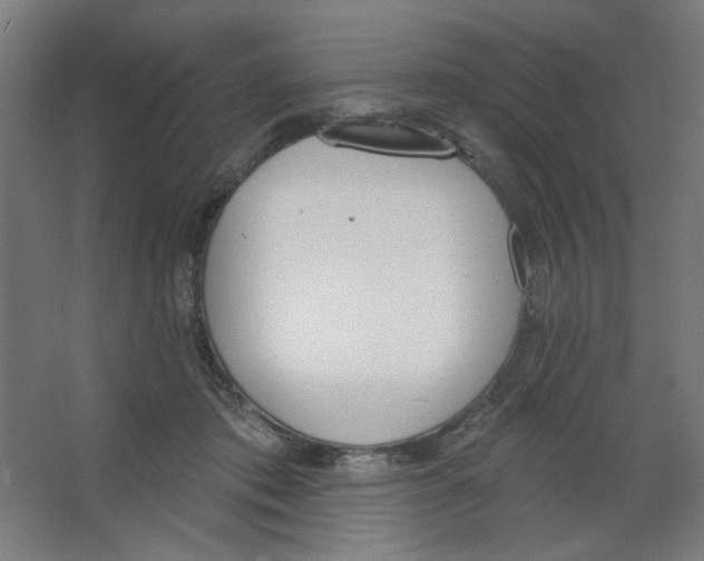 X0000067330413200604211915