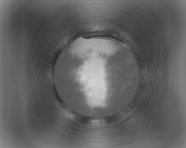 X0000067330415200604211915