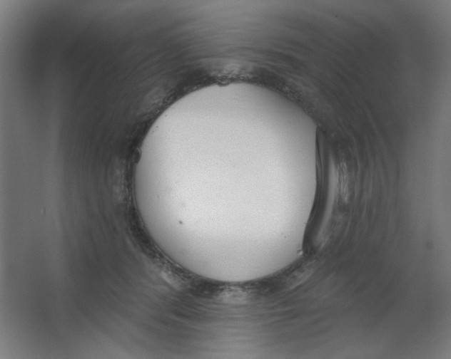 X0000067330416200604211915