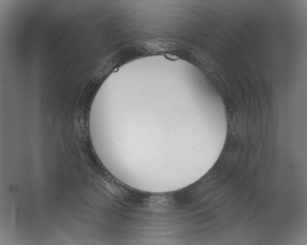 X0000067330418200604211914