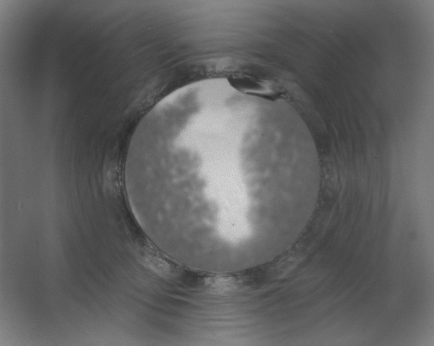 X0000067330419200604211914