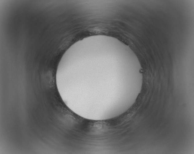 X0000067330420200604211914