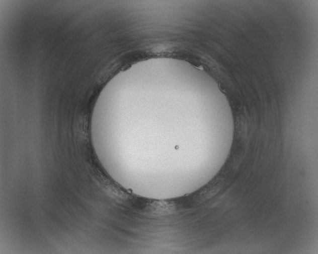 X0000067330421200604211914