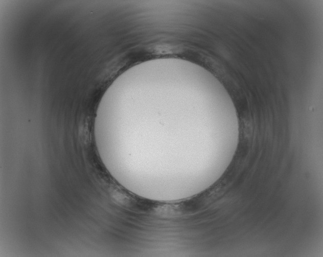 X0000067330422200604211914