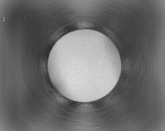 X0000067330426200604211914