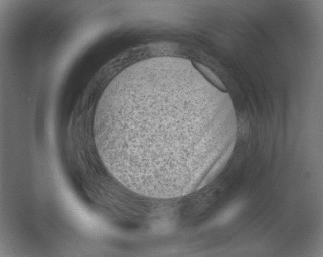 X0000067330431200604211914
