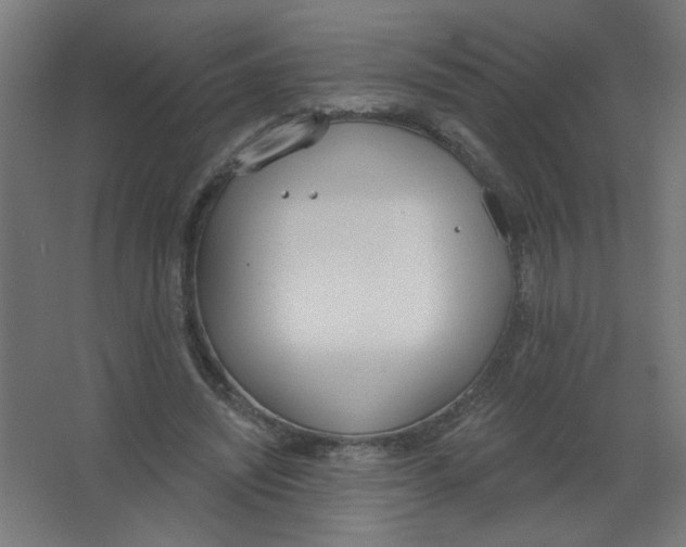 X0000067330444200604211914