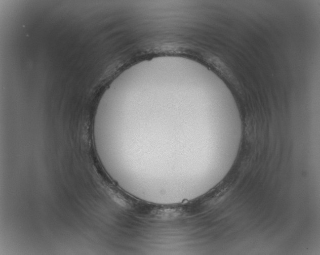X0000067330449200604211914