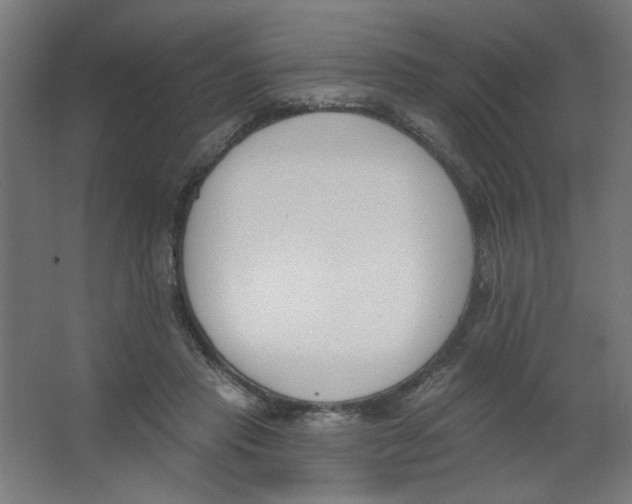 X0000067330453200604211914