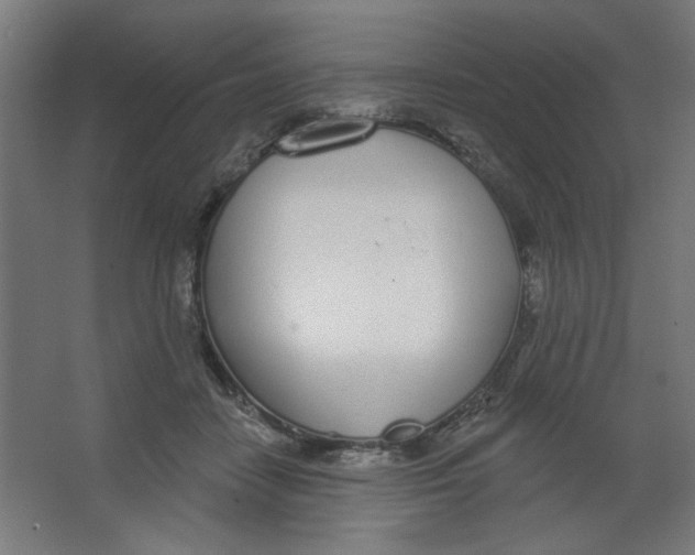 X0000067330458200604211914