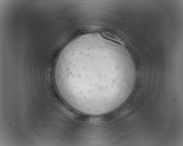 X0000067330462200604211914