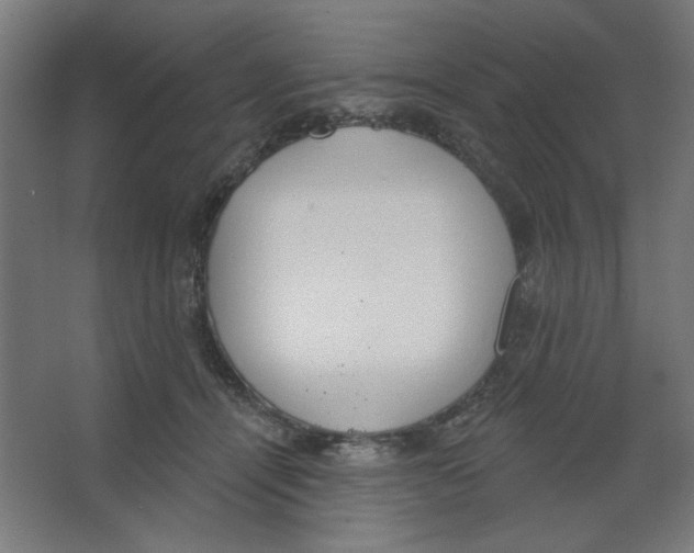 X0000067330464200604211914