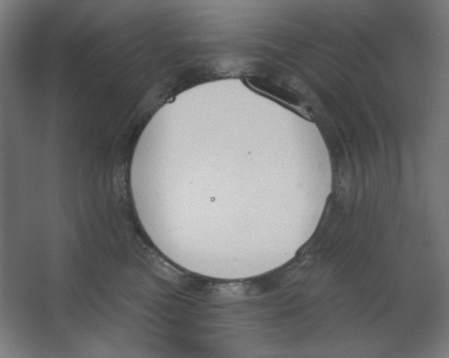 X0000067330473200604211914