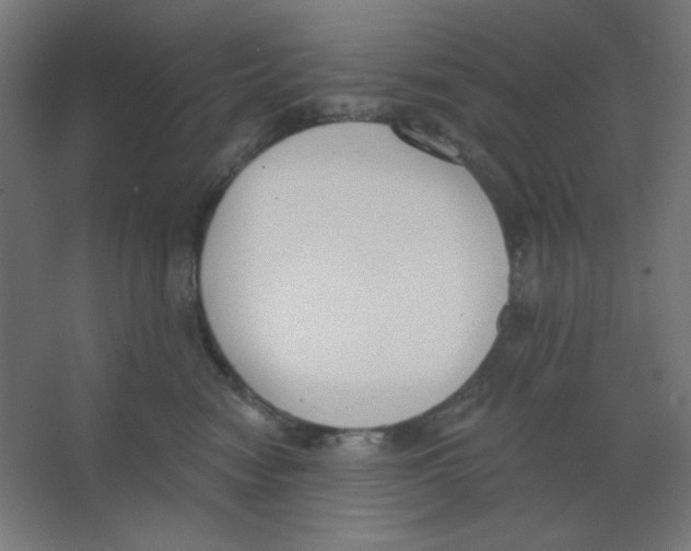 X0000067330474200604211914