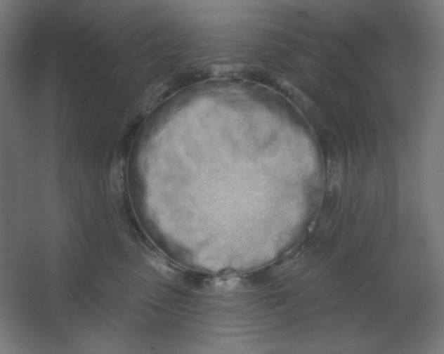 X0000067330475200604211914