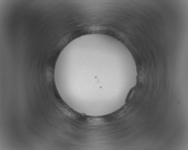X0000067330476200604211914