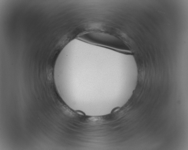X0000067330477200604211914