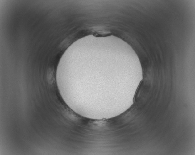 X0000067330478200604211914