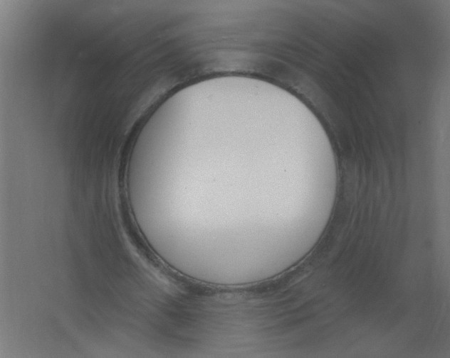 X0000067330482200604211913
